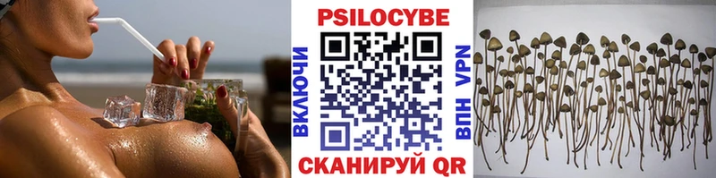 darknet формула даркнет сайт Боровичи Псилоцибиновые грибы мицелий